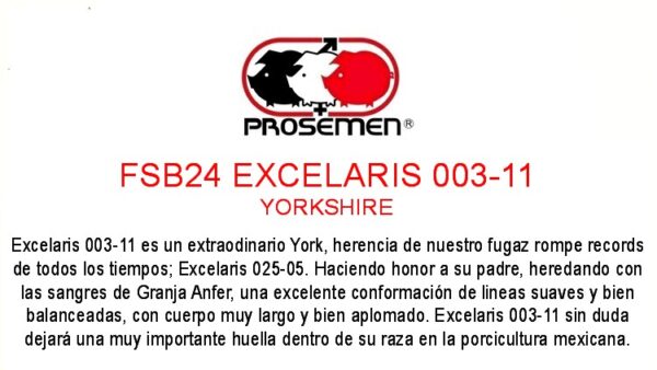 FSB24 EXCELARIS 003-11 EXCELARIS YORK - Image 3