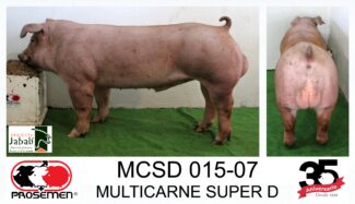 EGP25 MCSD 015-07 MULTICARNE SUPER DUROC