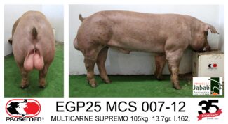 EGP25 MCS 007-12 MULTICARNE SUPREMO