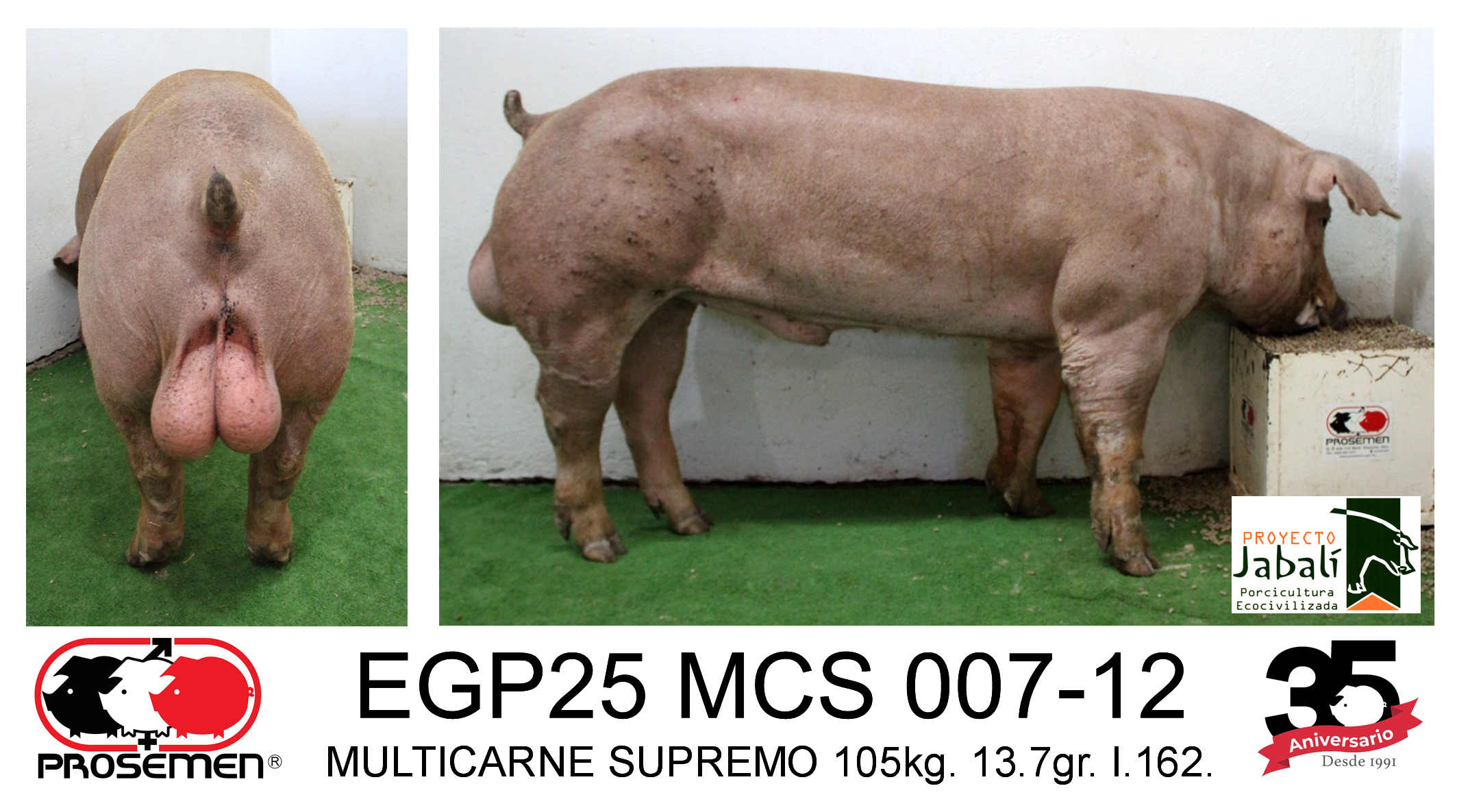EGP25 MCS 007-12 MULTICARNE SUPREMO