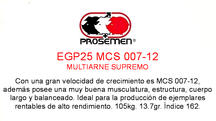 EGP25 MCS 007-12 MULTICARNE SUPREMO - Image 2
