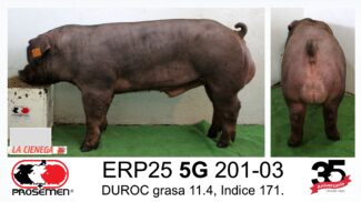 ERP25 5G 201-03 DUROC