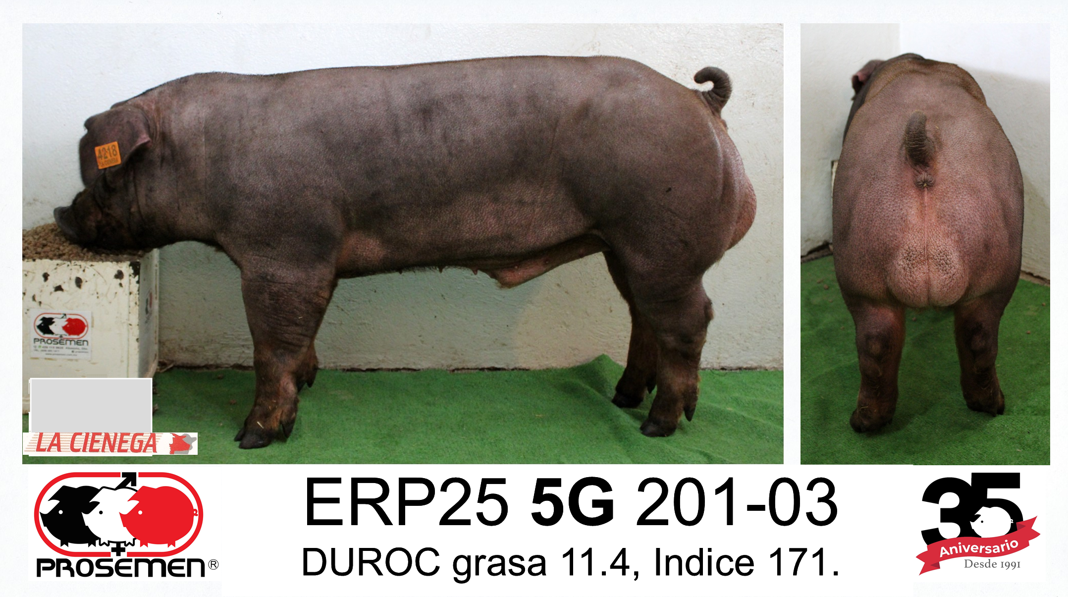 ERP25 5G 201-03 DUROC