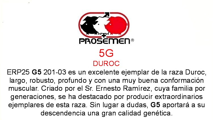 ERP25 5G 201-03 DUROC - Image 2